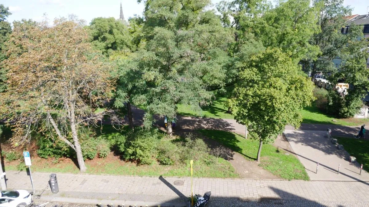 Image 5 of CasaColombia traumhafte Neustadt-Wohnung am Park