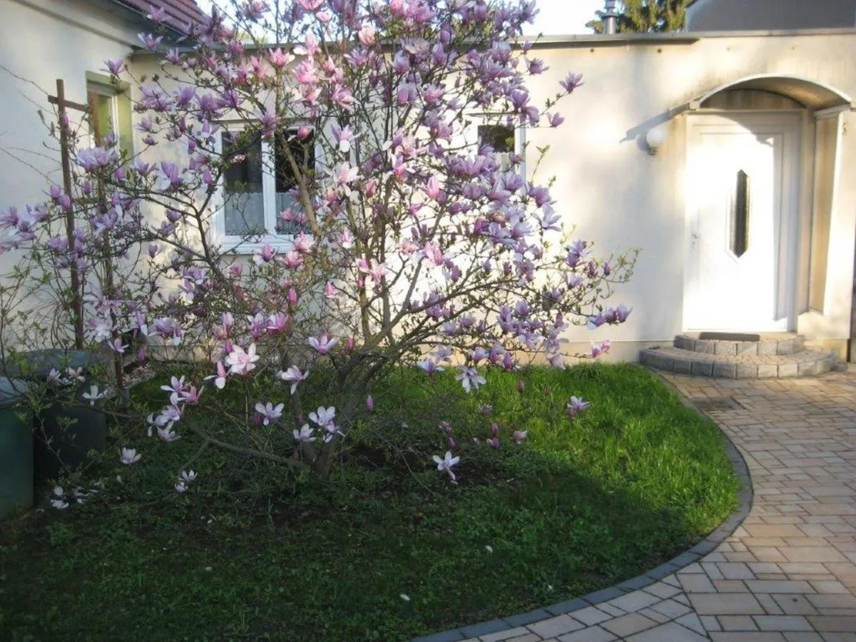 Image 4 of Dresden, Ferienhaus Strietzel
