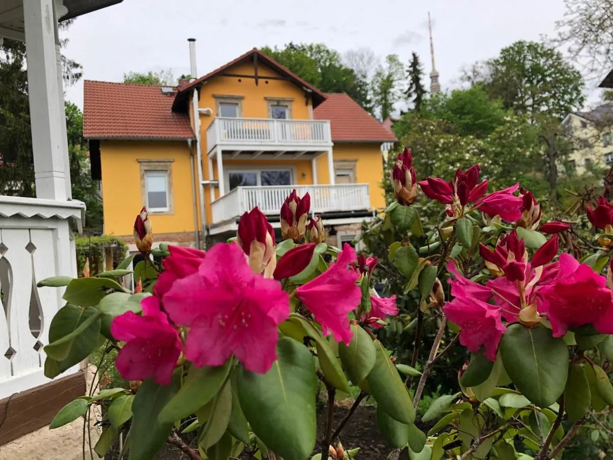 Image 4 of Ferienwohnung Casa Casimir mit Elbblick, Balkon und großen Garten