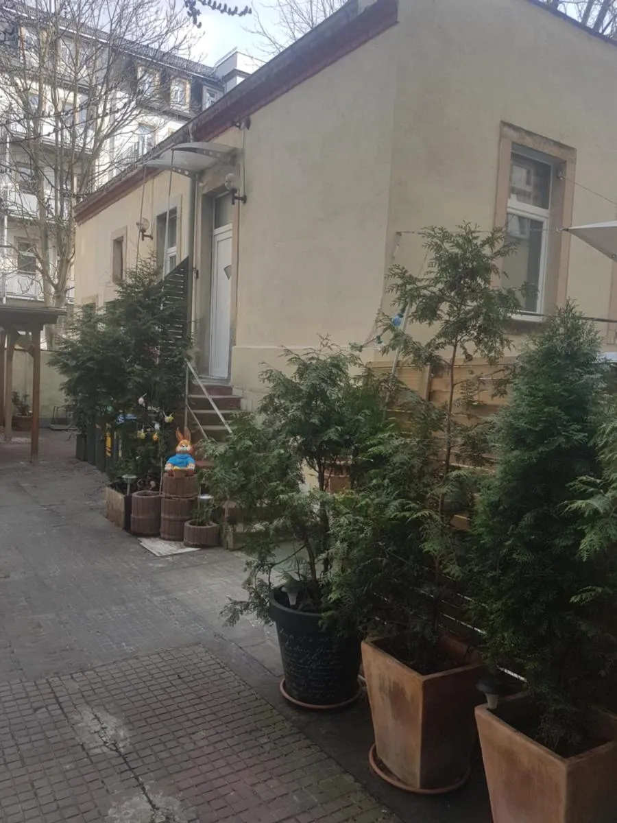 Image 5 of Max’s Hinterhaus