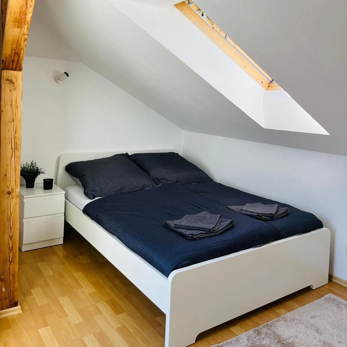 Image 5 of Modernes Cityapartment nähe Schloss Pillnitz