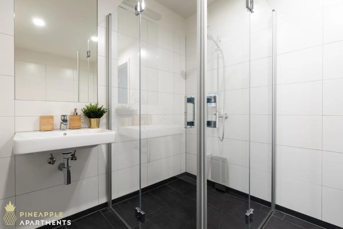 Image 6 of Pineapple Apartments Dresden Altstadt II – 124 qm – 1x free parking