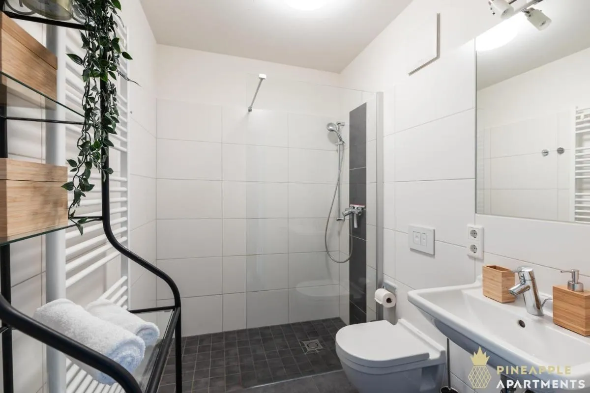 Image 2 of Pineapple Apartments Studio-Apartment am Zwinger