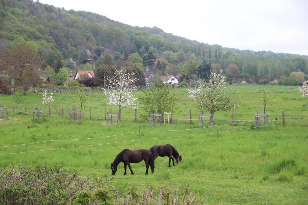 Image 4 of Stiegenstübchen am Weinberg