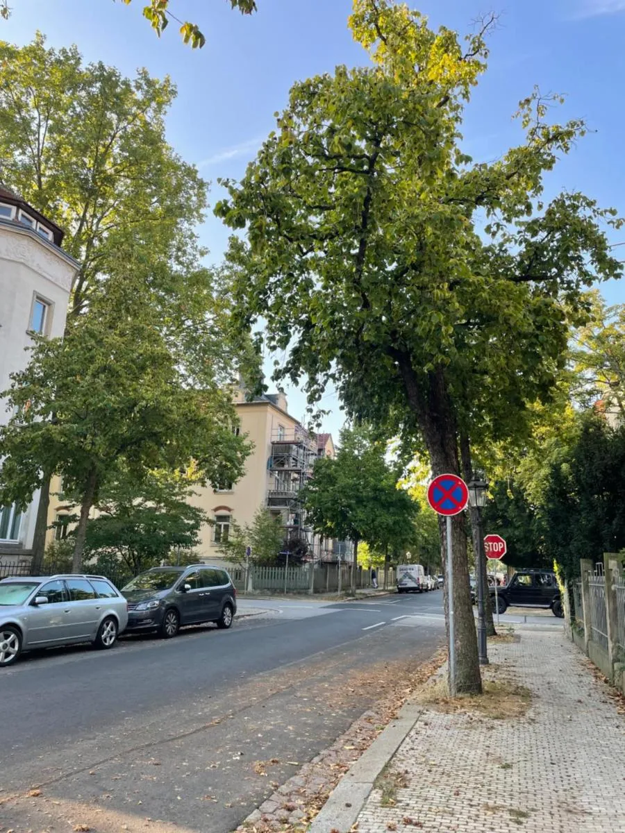 Image 5 of TONI Charming Apartment im idyllischem Villenviertel mit Netflix