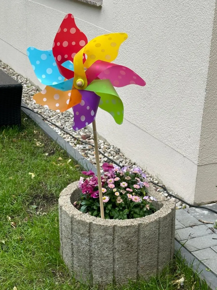 Image 1 of Villarina