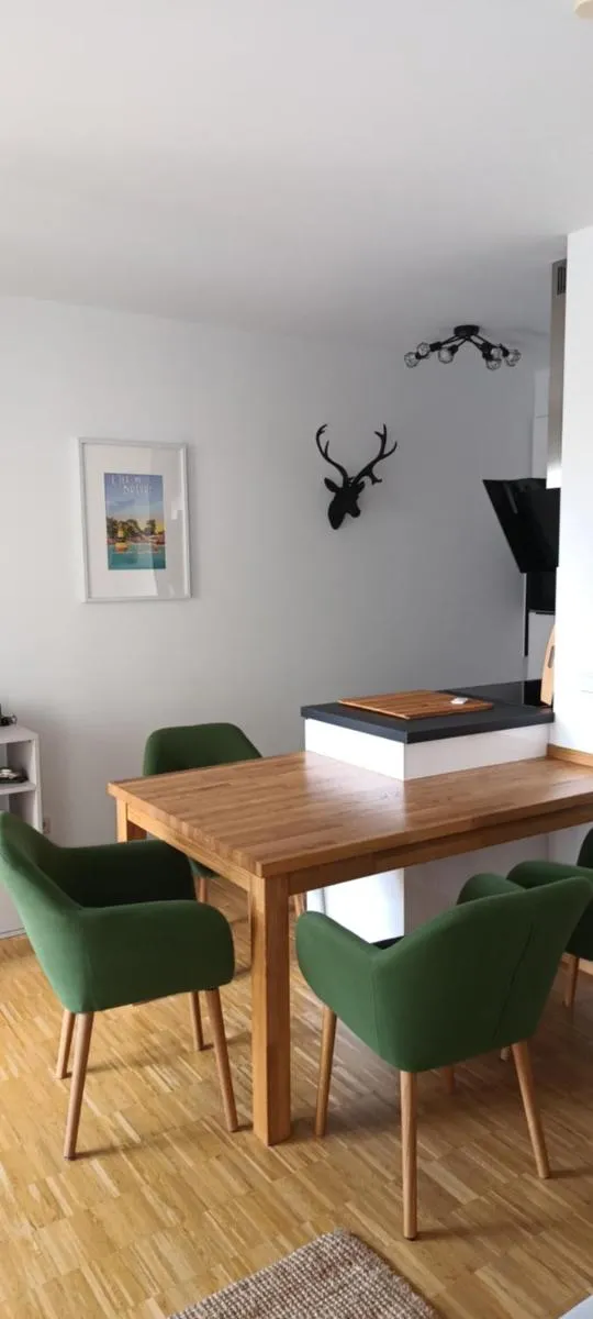 Image 3 of Wunderschöne Ferienwohnung direkt an der Elbe, Alt-und Neustadtnähe