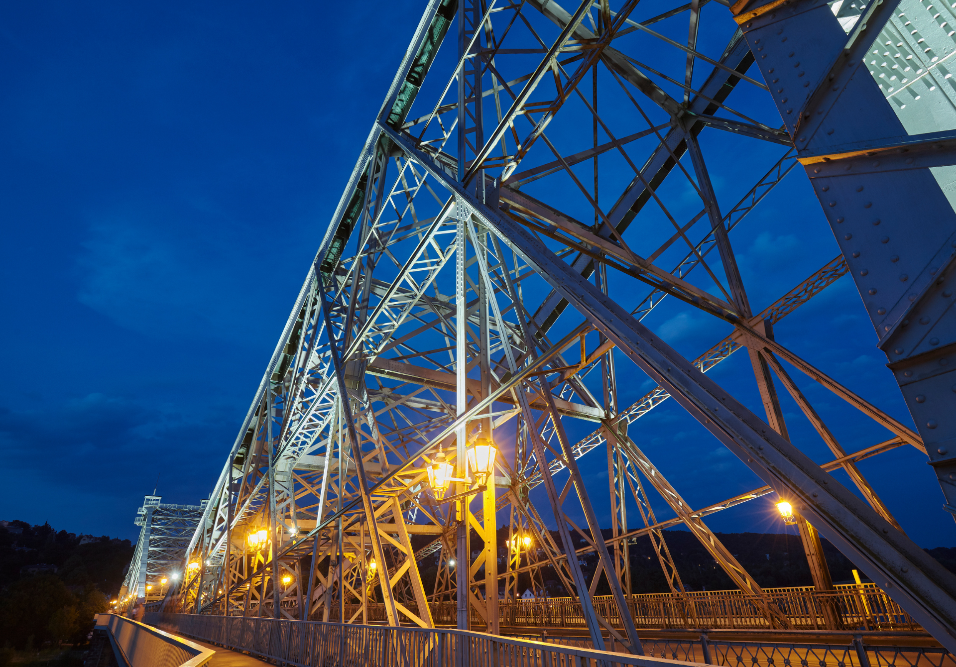 The Loschwitz Bridge